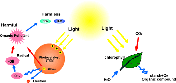 Principle Of Photocatalytic Titanium Dioxide